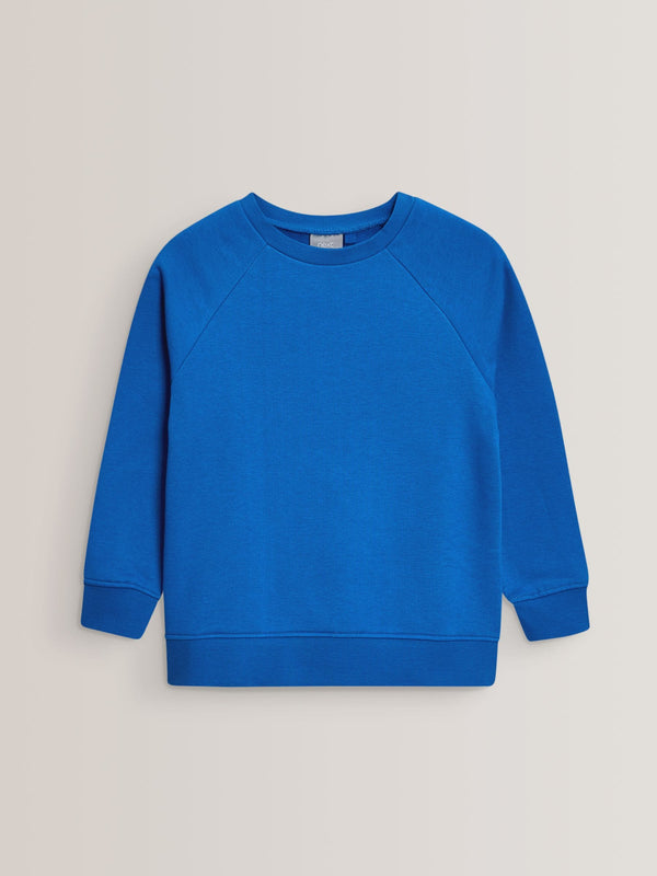 Blue Crew Neck School Sweater (3-17yrs)