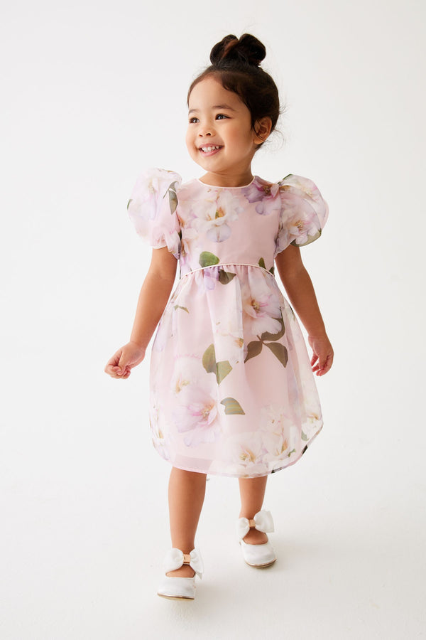 Baker by Ted Baker Pink Floral Organza Dress