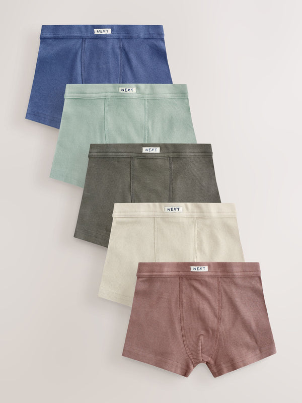 Neutral Multi Colour Soft Waistband Trunks 5 Pack (1.5-16yrs)