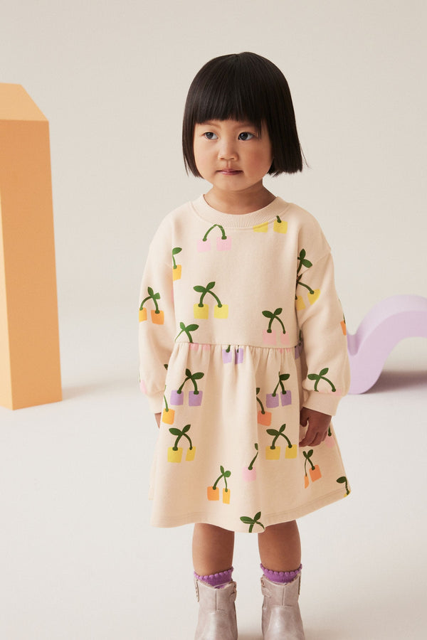 Multi Long Sleeve Jumper Dress (3mths-7yrs)