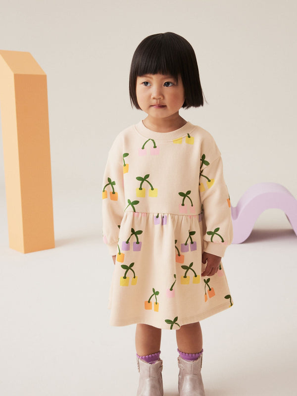 Multi Long Sleeve Jumper Dress (3mths-7yrs)