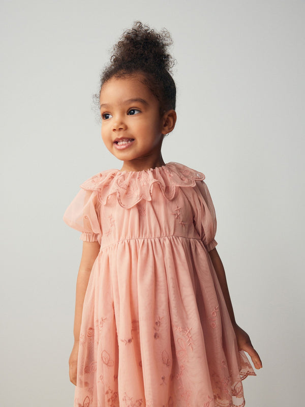 Pink Embroidered Mesh Party Dress (3mths-8yrs)