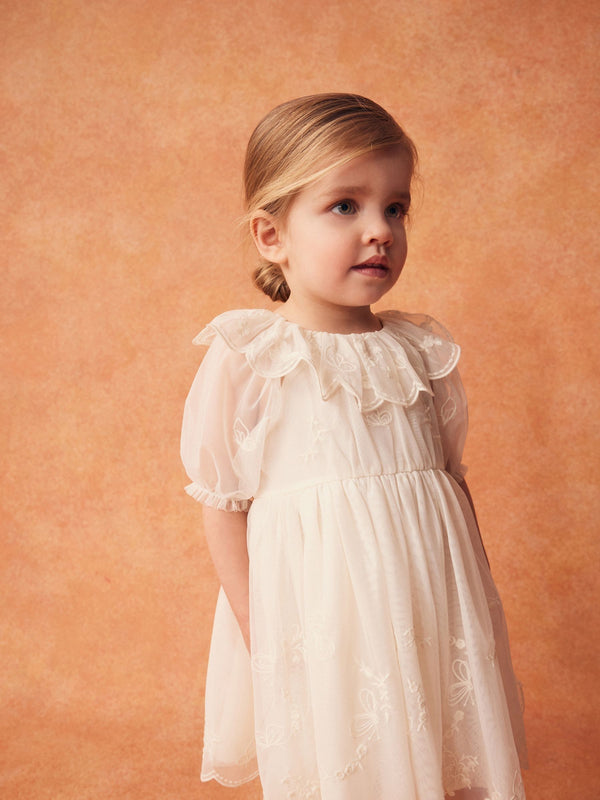 Cream Embroidered Mesh Party Dress (3mths-8yrs)