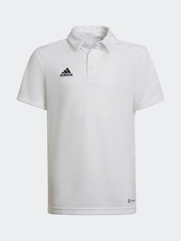 adidas White Entrada 22 Polo Shirt