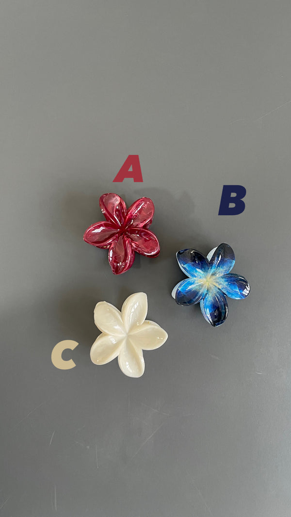 Hair clips
