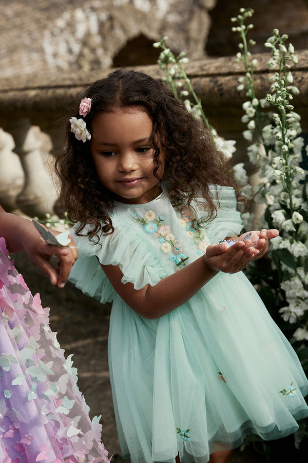 Pale Blue Embroidered Mesh Party Dress (3mths-10yrs)