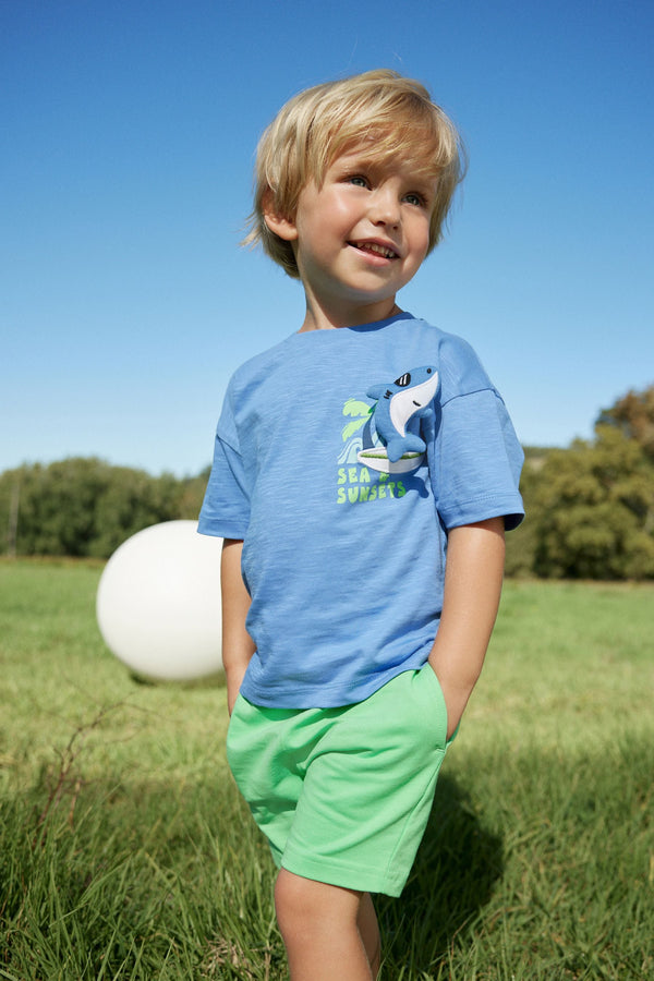 Blue/Green T-Shirt And Shorts Set (3mths-7yrs)