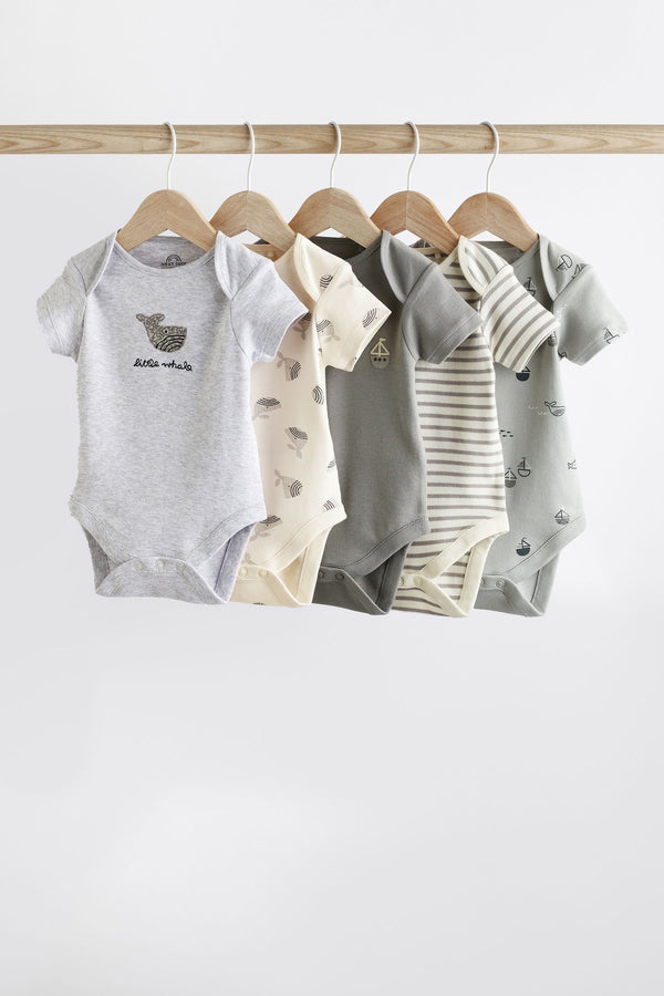 Grey Whale Baby Short Sleeve Bodysuits 5 Pack