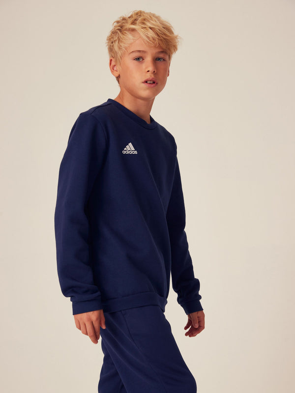 adidas Blue Entrada 22 Sweatshirt