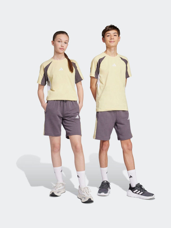 adidas Grey Essentials Colourblock Kids Shorts