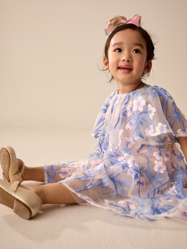 Pink/Blue Embroidered Mesh Dress (3mths-8yrs)