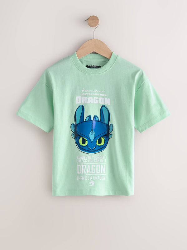 Mint Green How To Train Your Dragon T-Shirt (3-16yrs)