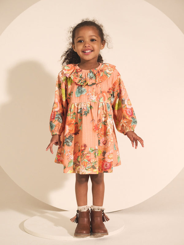 Autumnal Orange Long Sleeve Collared Dress (3mths-7yrs)