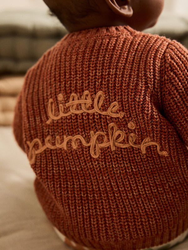 Orange Little Pumpkin 100% Cotton Slogan Baby Cardigan