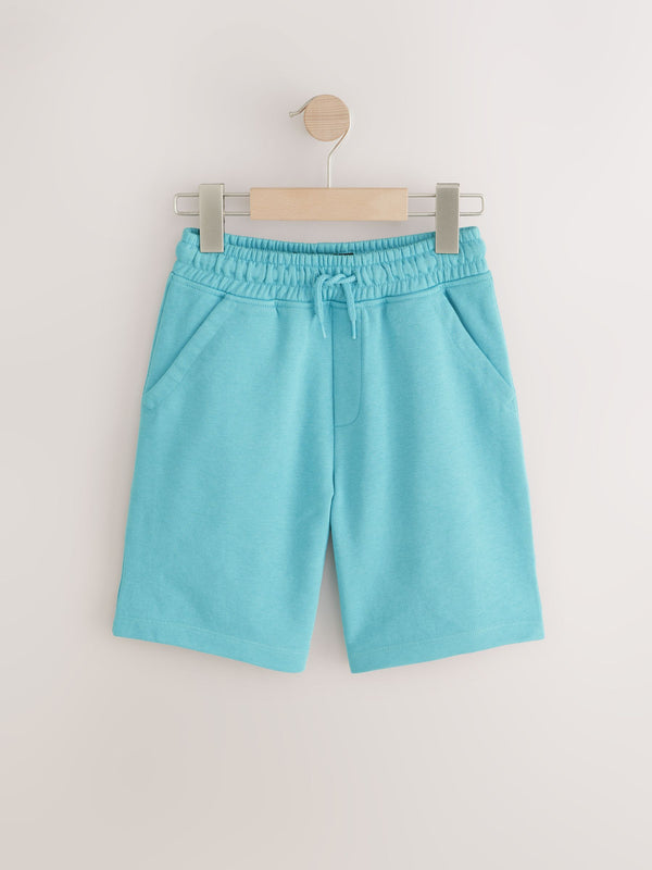 Aqua Blue Regular Fit Basic Shorts (3-16yrs)