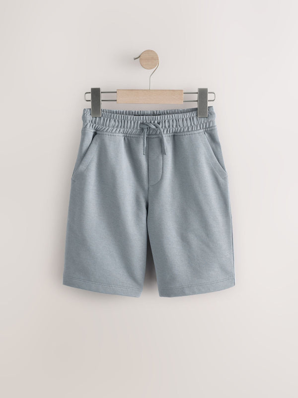 Slate Grey Regular Fit Basic Shorts (3-16yrs)