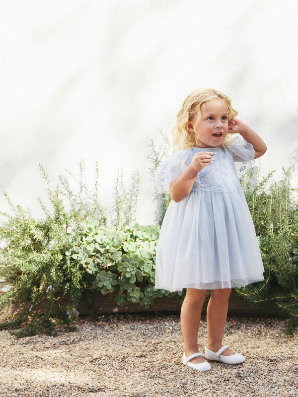 Pale Blue Embroidered Mesh Dress immediate