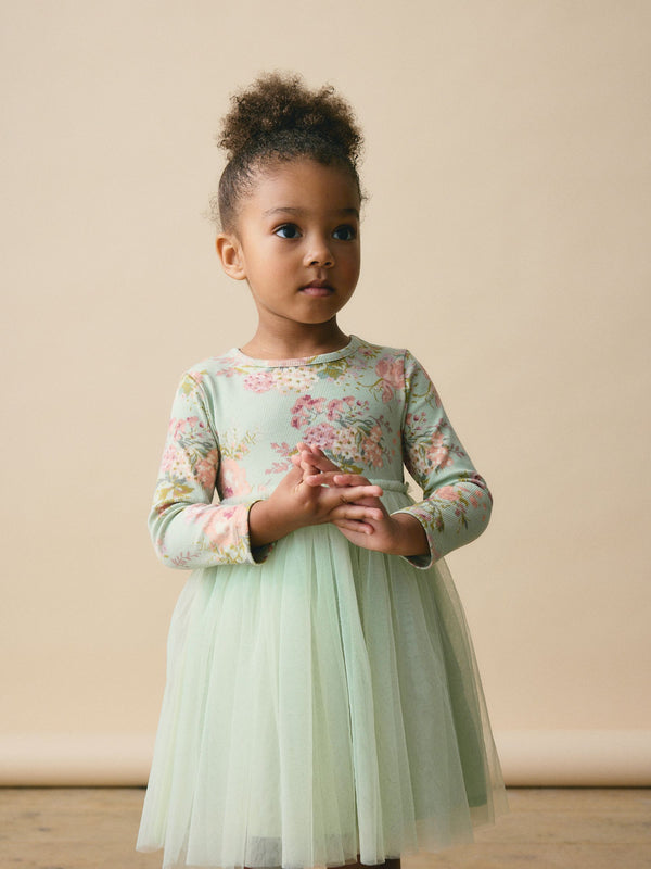 Green Long Sleeve Mesh Dress (3mths-7yrs)