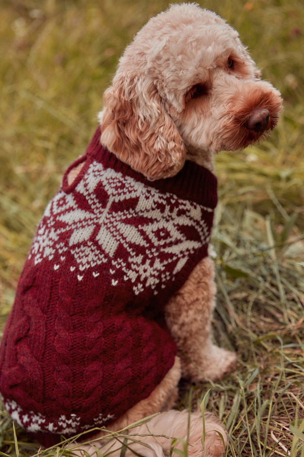 Red Fairisle Christmas Dog Jumper