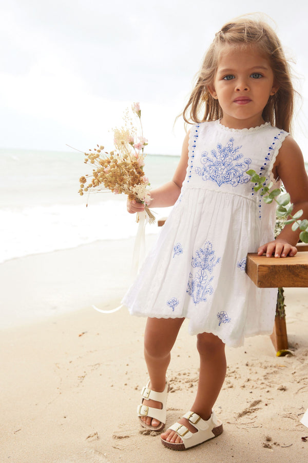 Blue/White Embroidered Cotton Dress (immediate)