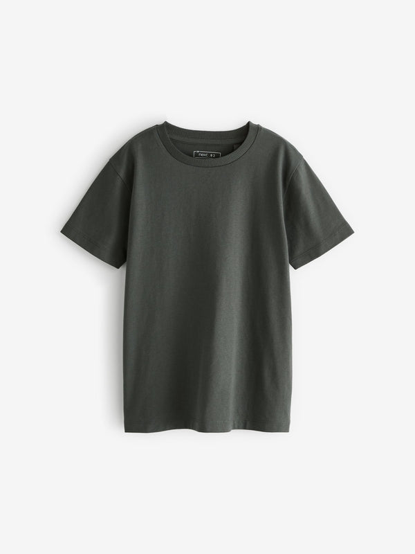 Grey Charcoal Regular Fit Short Sleeve T-Shirt (3-16yrs)