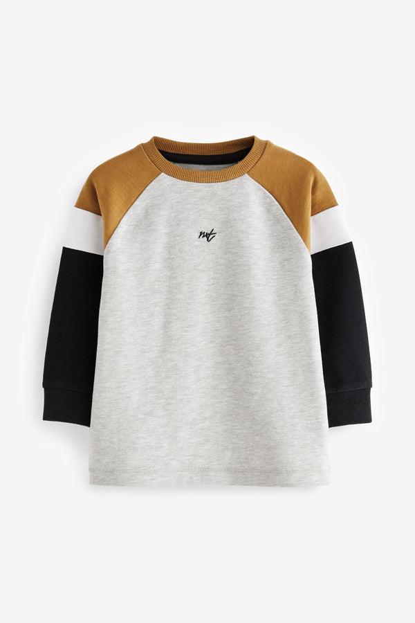 Grey Mono Cosy Colourblock 100% Cotton Long Sleeve T-Shirt (3mths-7yrs)