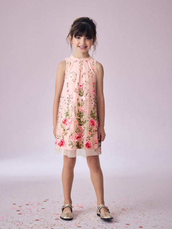 Pink Embroidered Mesh Dress (3-16yrs)
