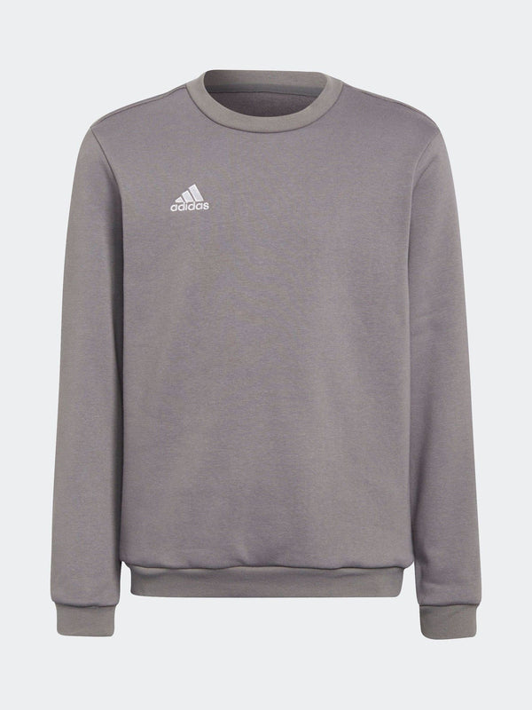 adidas Grey Entrada 22 Sweatshirt