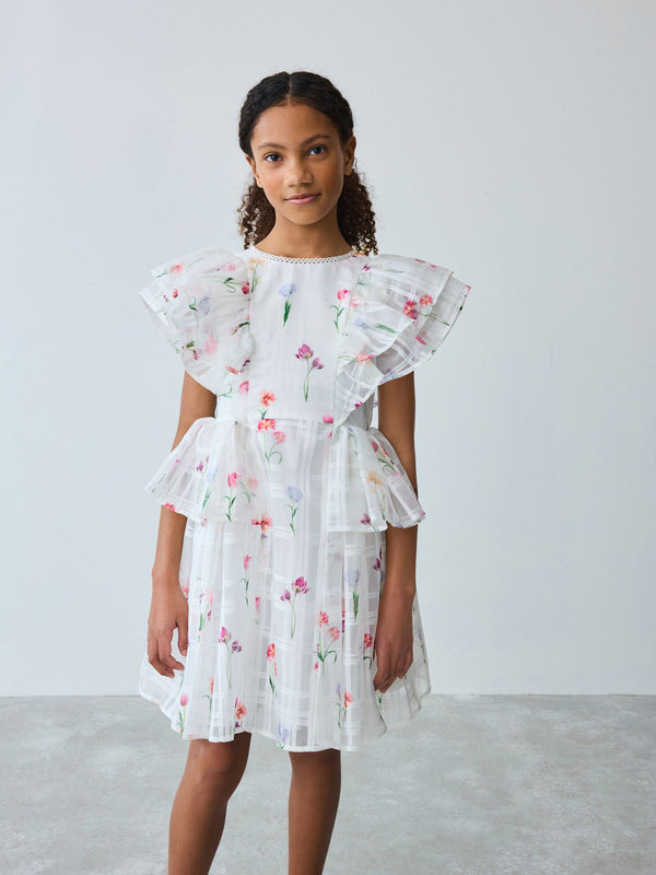 Baker by Ted Baker Floral Burnout Frill Tier Dress