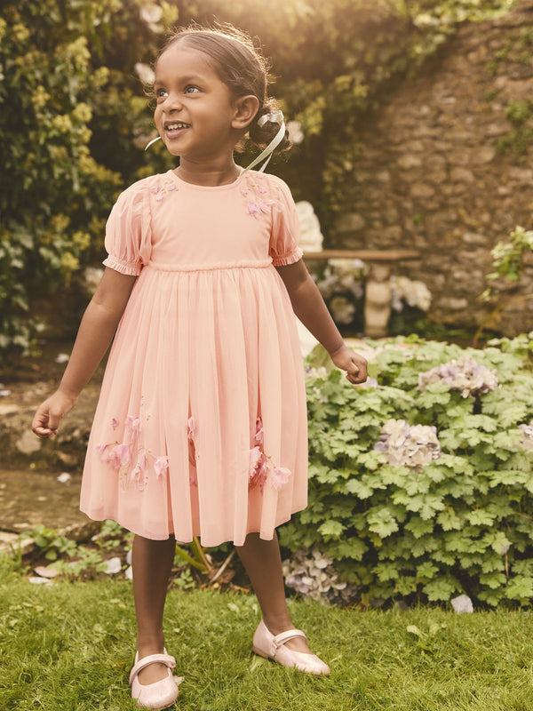 Pink Embroidered Mesh Dress (3mths-8yrs)