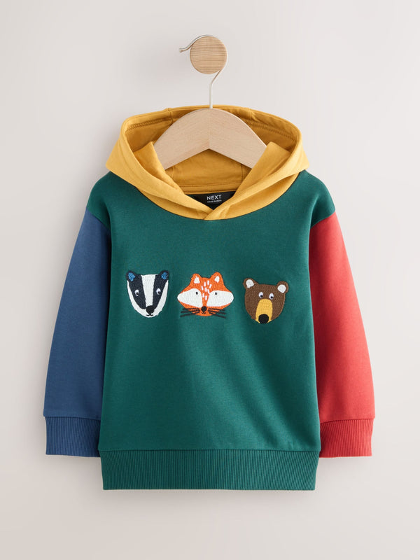 Green Colourblock Long Sleeve Appliqué Hoodie (3mths-7yrs)
