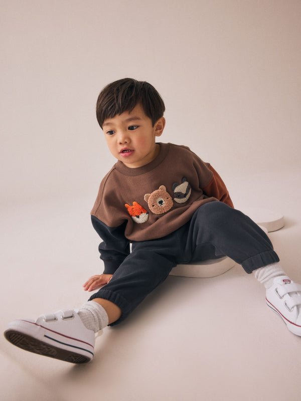 Brown Animal Appliqué Sweatshirt and Joggers Set (3mths-7yrs)