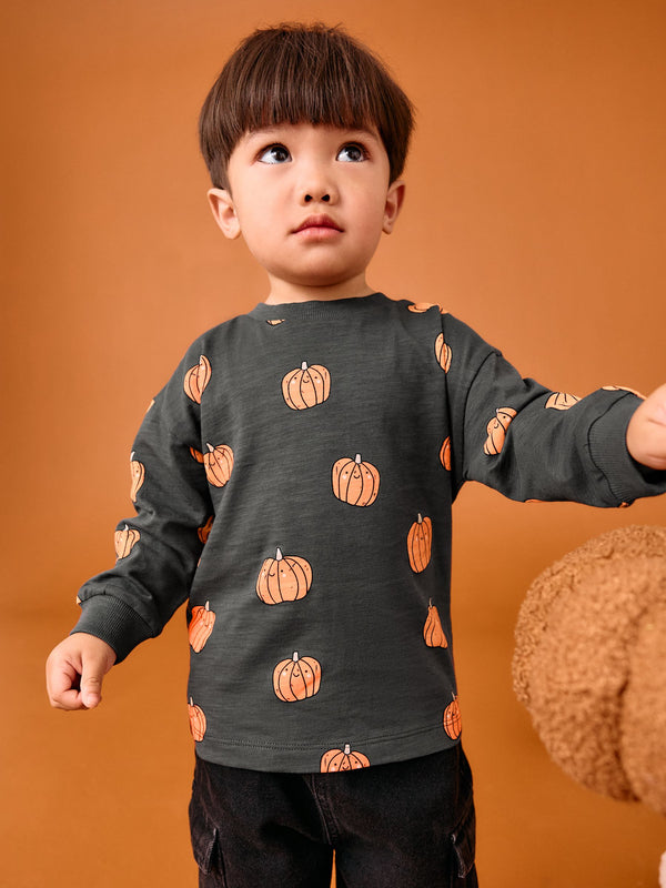 Grey/Orange Pumpkin Halloween Long Sleeve Graphic Print T-Shirt (3mths-7yrs)