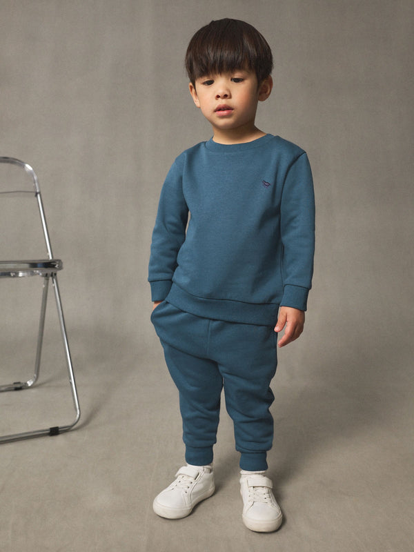 Light Blue Sweatshirt And Joggers Set (3mths-7yrs)