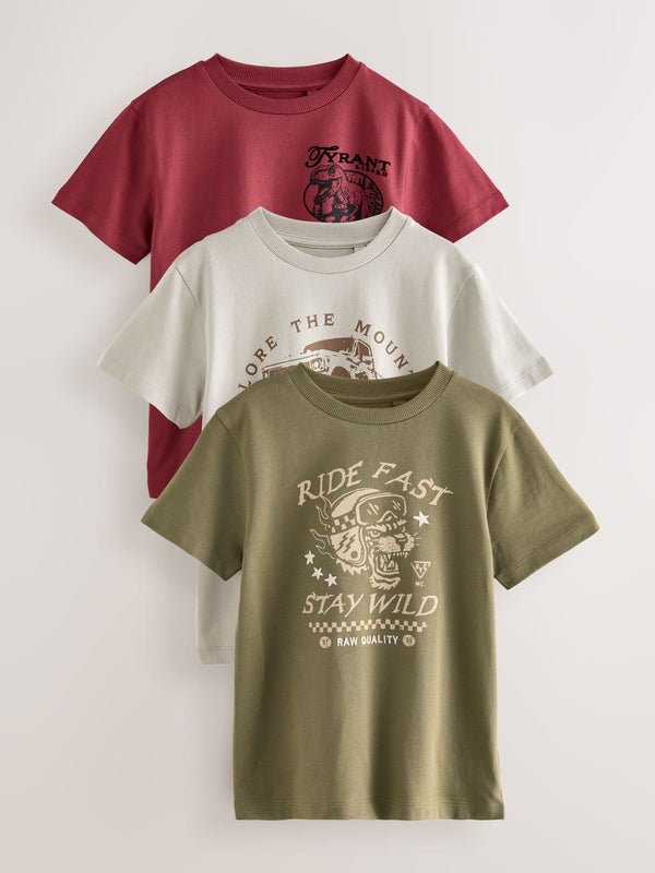 Khaki/Grey/Berry Regular Fit Graphic Print Short Sleeve T-Shirts 3 Pack (3-16yrs)