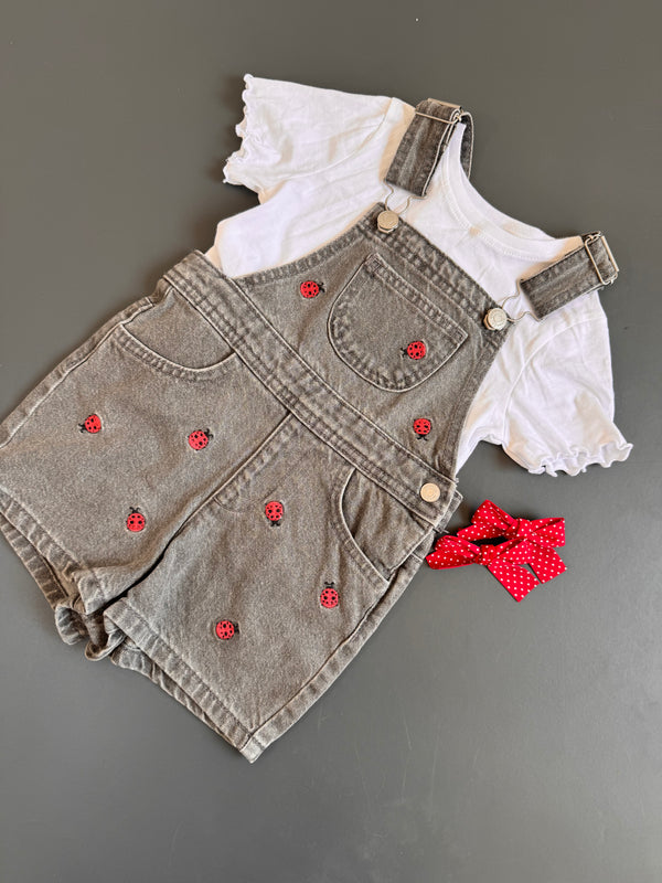 Primark denim ladybug shorts dungarees set
