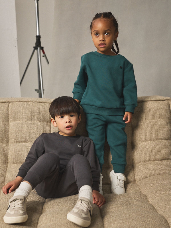 Charcoal Grey/Green Sweatshirt and Joggers Set 2 Pack (3mths-7yrs)