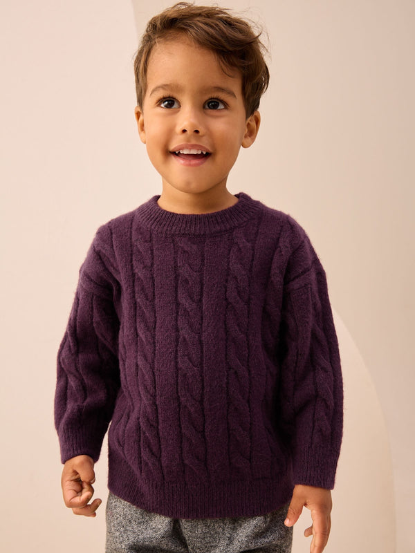 Plum Stripe Cable Knit Crew Neck Jumper (3mths-7yrs)