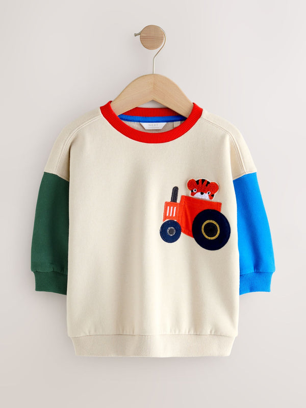 Ecru Colourblock Appliqué Crew Neck Jersey Sweatshirt (3mths-7yrs)