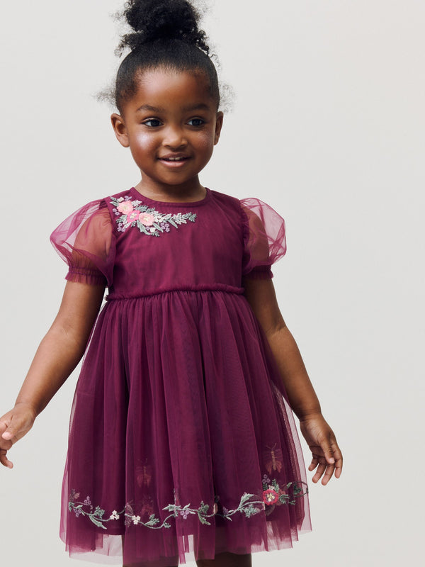 Berry Red Embroidered Mesh Party Dress (3mths-10yrs)