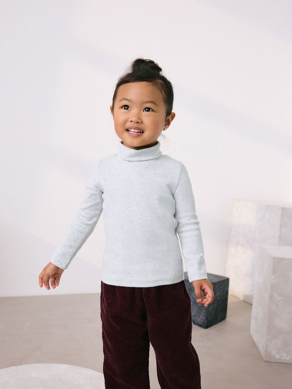 Grey Long Sleeve Roll Neck Top (3mths-7yrs)