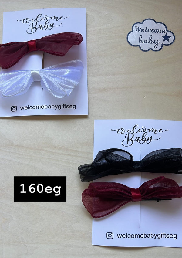 2pk pow hairclip