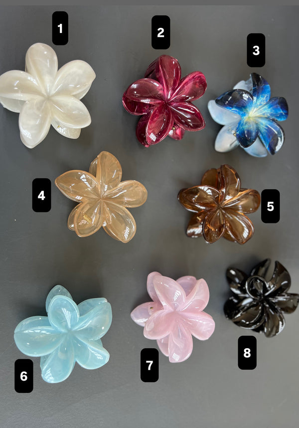 Hairclip 🌸