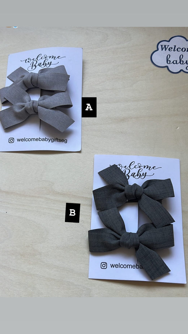 2pk hairclips