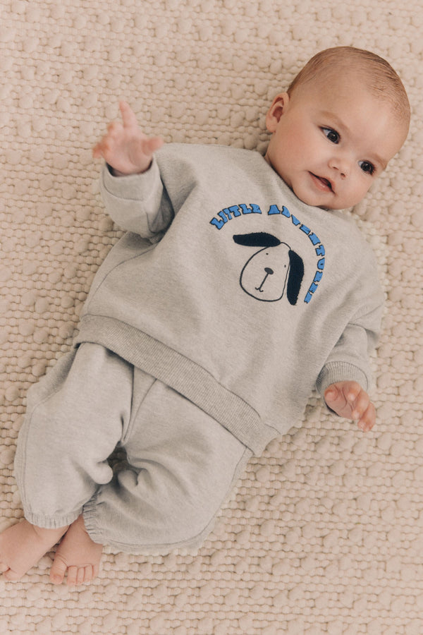 Grey Baby Sweatshirt And Leggings 2 Piece Set(immediate)