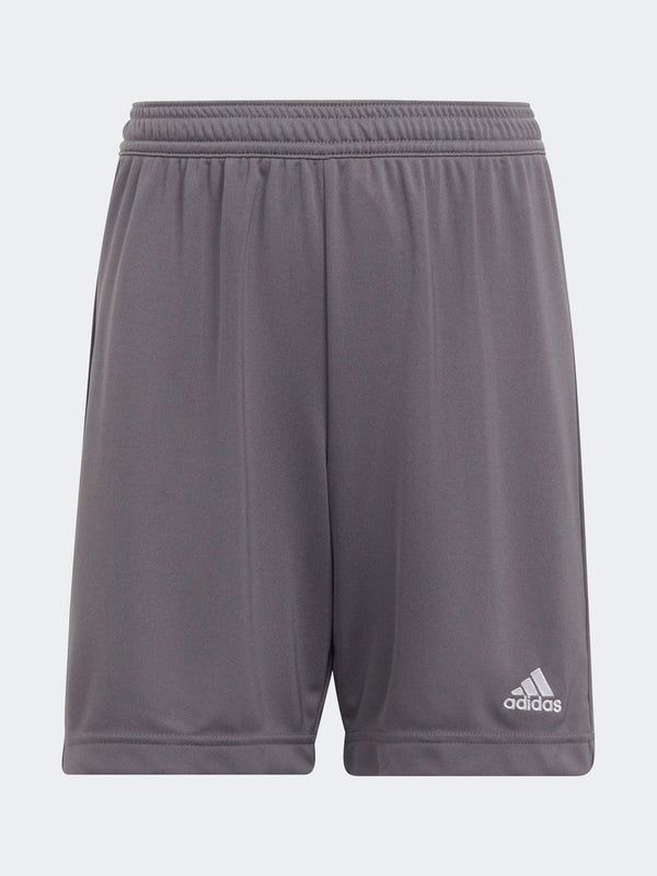 adidas Grey Entrada 22 Shorts