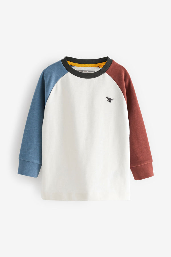 White/Blue/Brown Cosy Colourblock Long Sleeve T-Shirt (immediate)