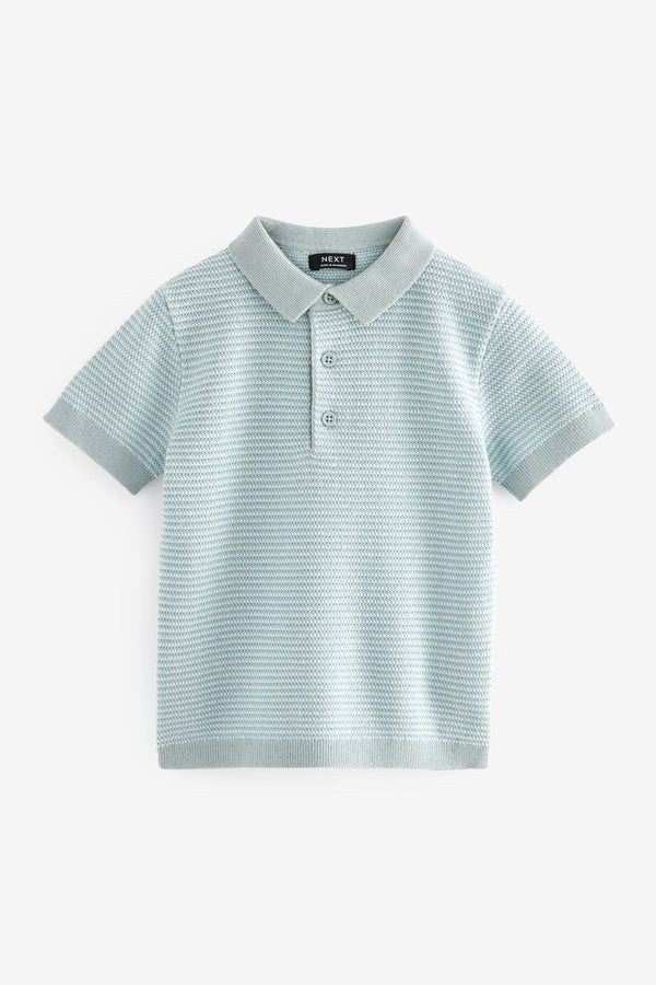 Blue 100% Cotton Short Sleeved Multi Tone Polo Shirt (3mths-7yrs)