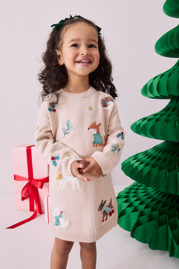 Ecru Marl Christmas Character Jumper Dress (3mths-7yrs)