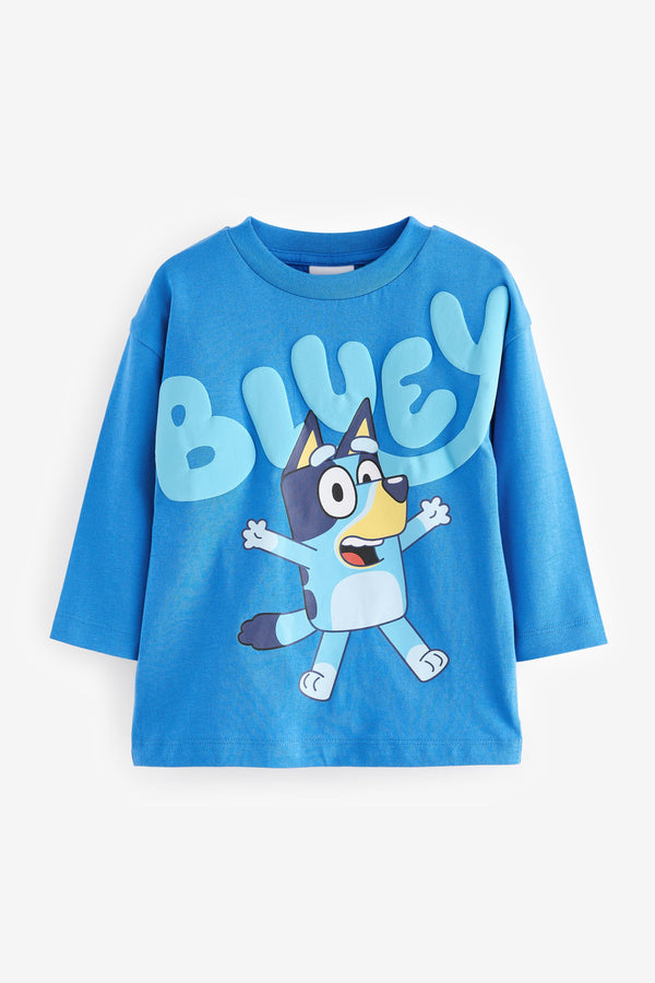 Blue Long Sleeve 100% Cotton T-Shirt (6mths-8yrs)